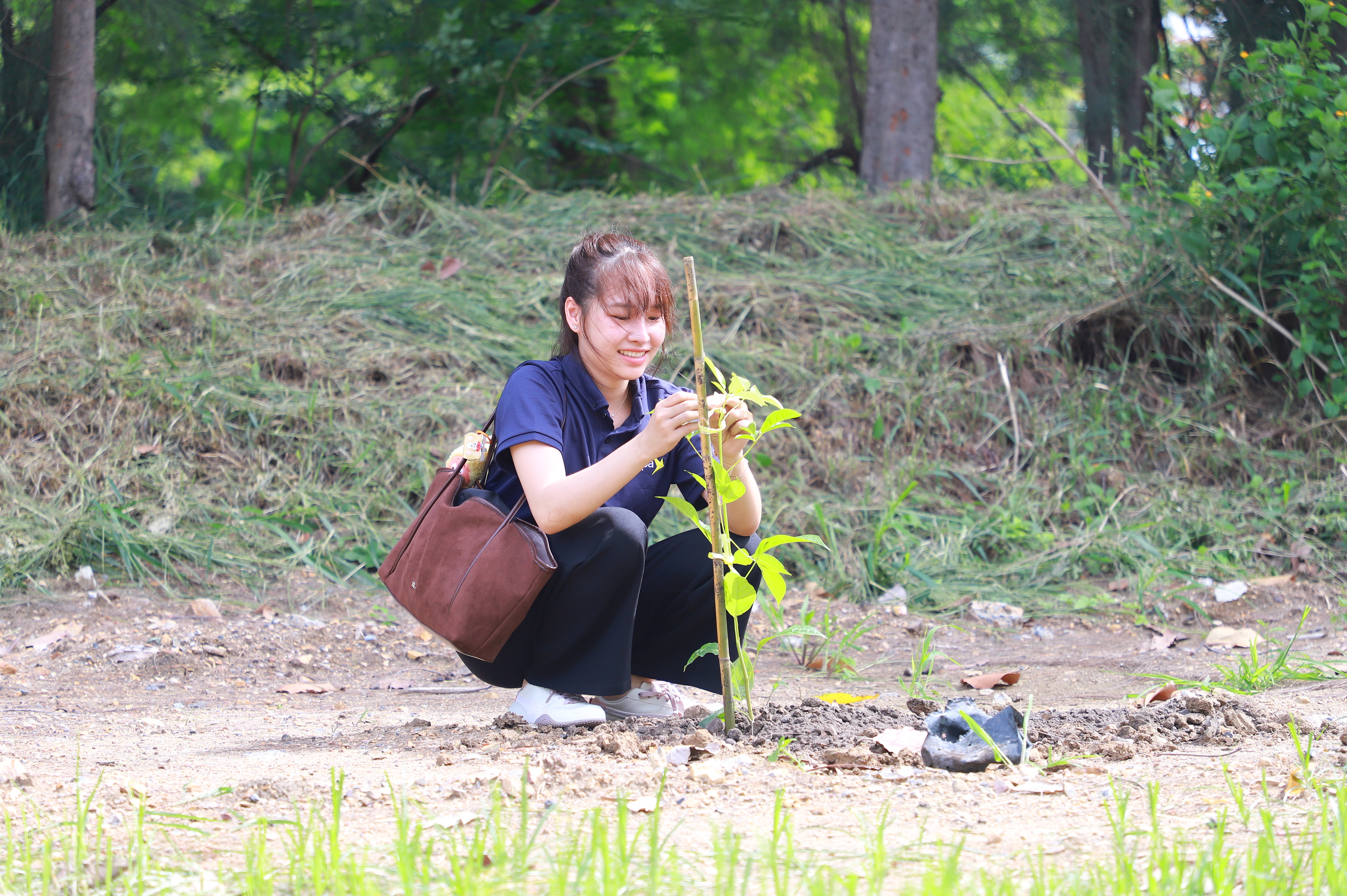 title - ส.ป.ก. - depa ร่วมใจปลูกต้นไม้ ภายใต้กิจกรรม CSR ปลูกต้นไม้ (Grow Green) เพิ่มพื้นที่สีเขียว ลด CO2 ณ ศูนย์ส่งเสริมและพัฒนาอาชีพเสริมนอกภาคการเกษตร